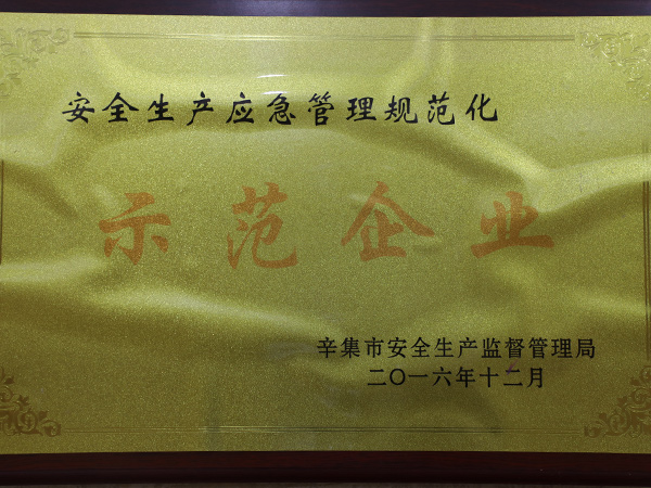 安全生産應急管理規範化示範企業